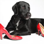 back and body medical high heels back pain.jpg