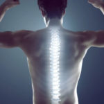 healthy spine